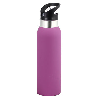 Stainless Steel Vaccum Drink Bottle
