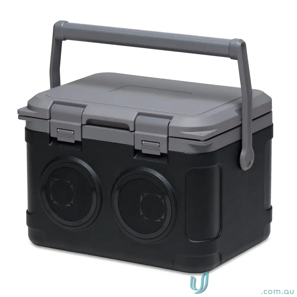 21L cooler IGOISB Onâ€‘Ice 21L Portable Cooler with Builtâ€‘in Bluetooth Speaker