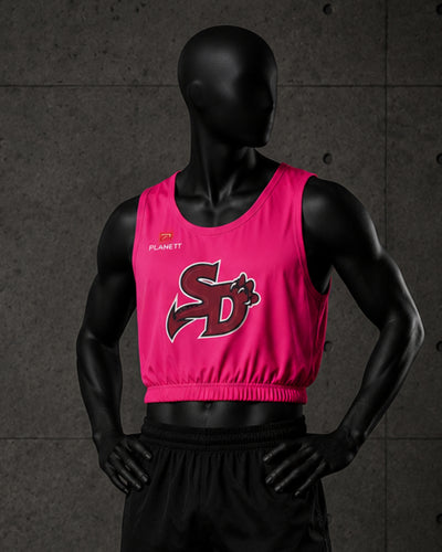 [NOT FOR SALE] Sandringham Dragons FC Training BIB